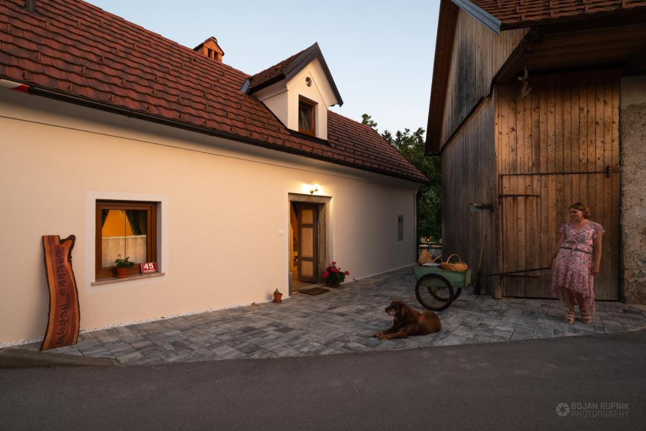 Cherry House - Cosy House - Ideal For Bear Watching, In The Neighborhood Of The Medieval Sneznik Castle Stari Trg pri Lozu Exterior foto